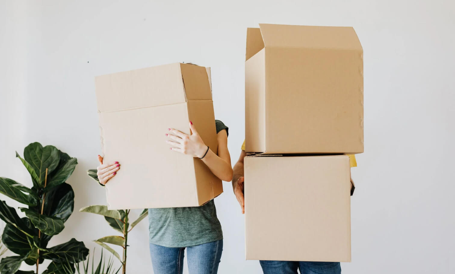 Rentopia para inquilinos